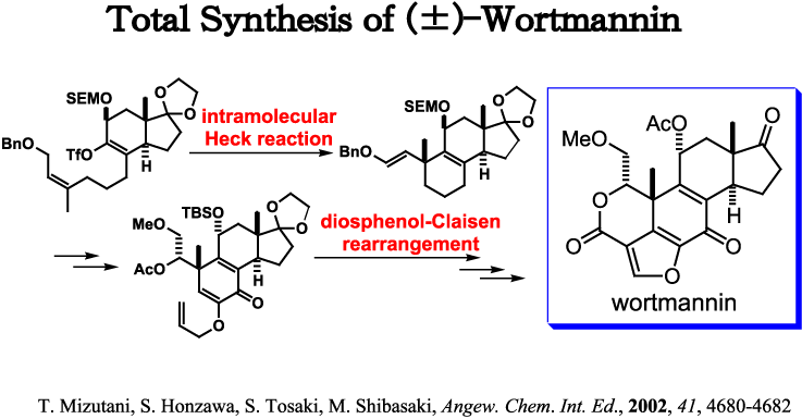 wortmannin とは